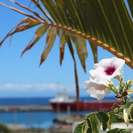 Terraza Del Atlantico, Un Oasis En La Ciudad Appartement Santa-Cruz de Ténérife